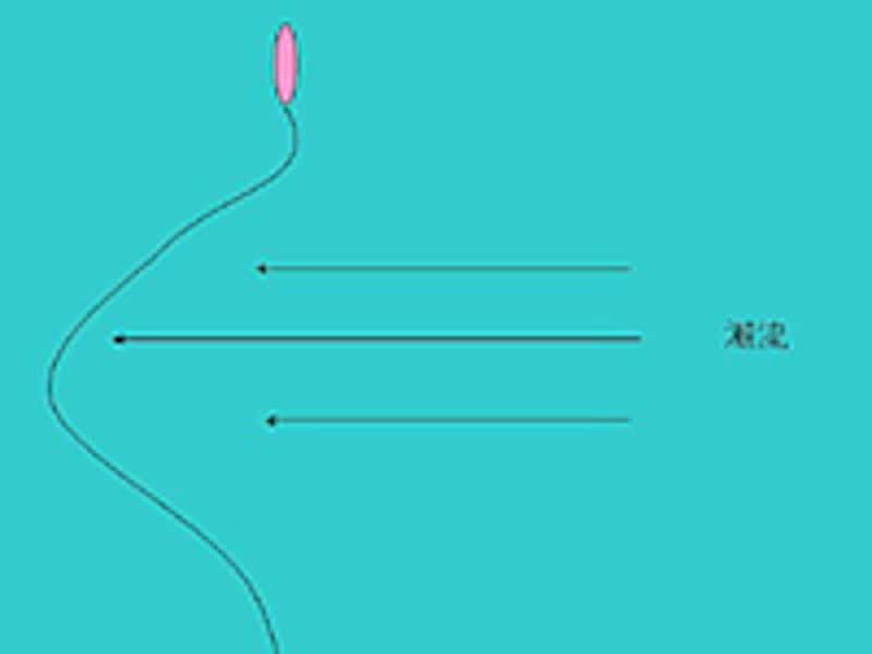 26番