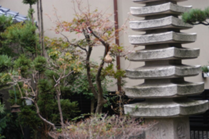 中望遠レンズ帯