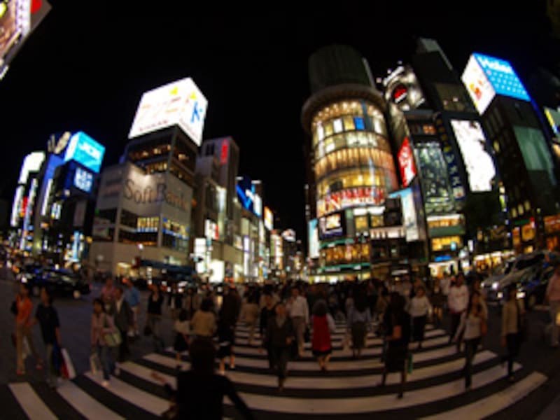 高い位置からの作例