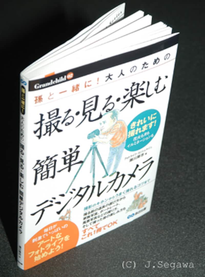 ディフューザーなし