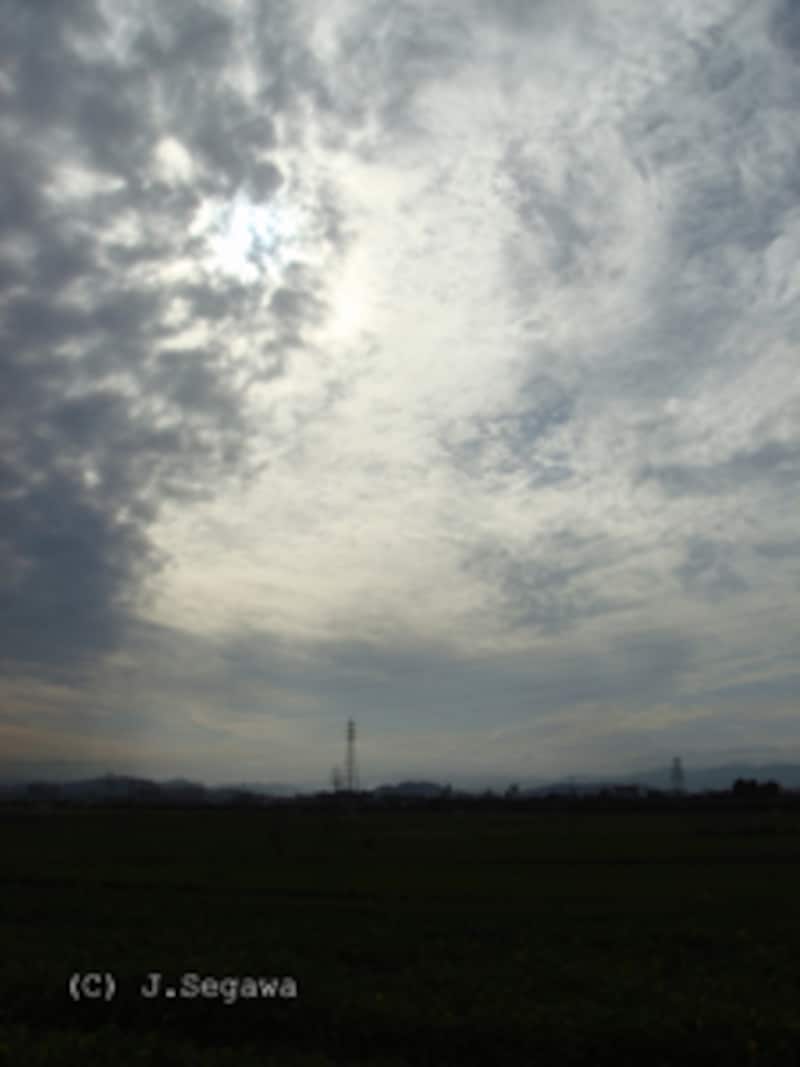 緑と空-2