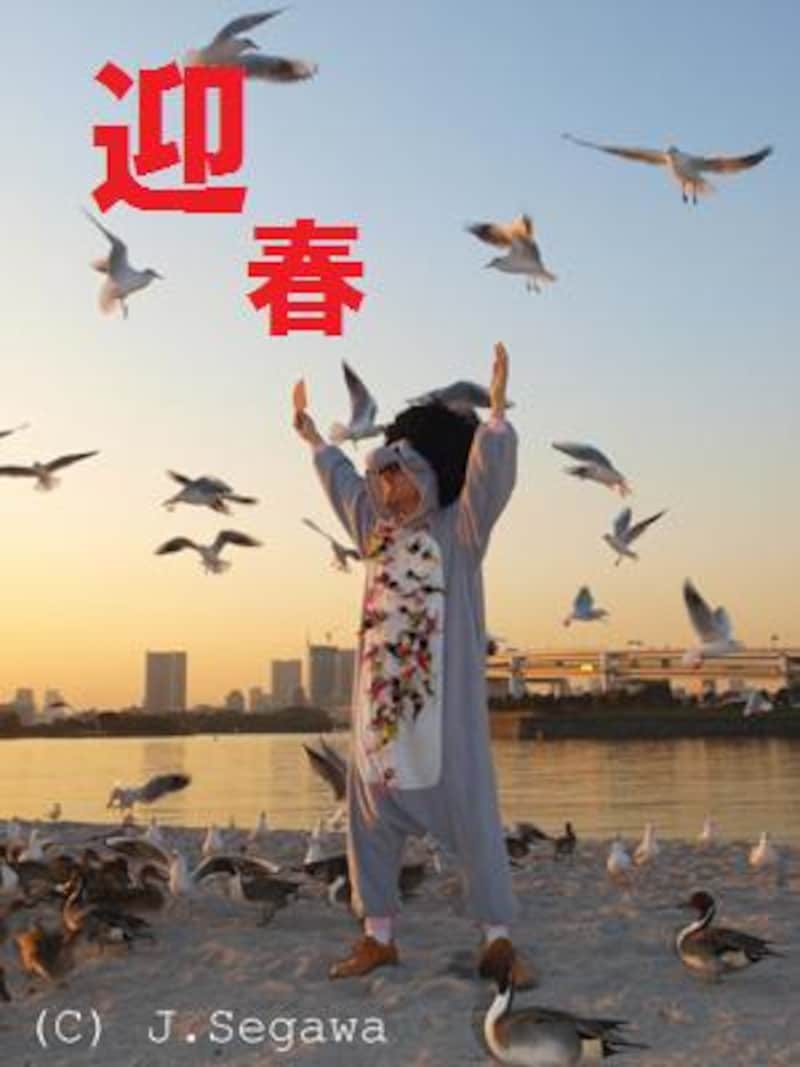 5 5 こんなに簡単 年賀状を撮って作ろう 写真撮影 All About