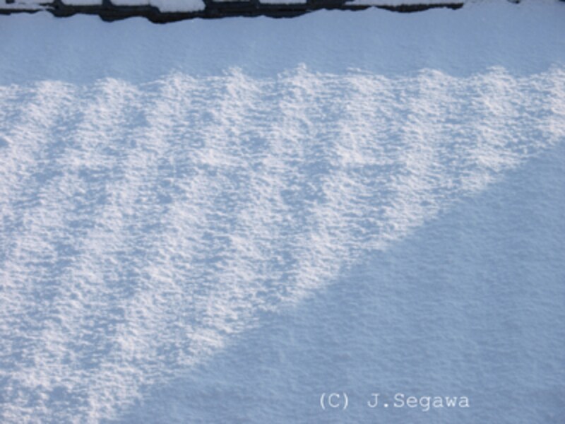 露出補正プラス1