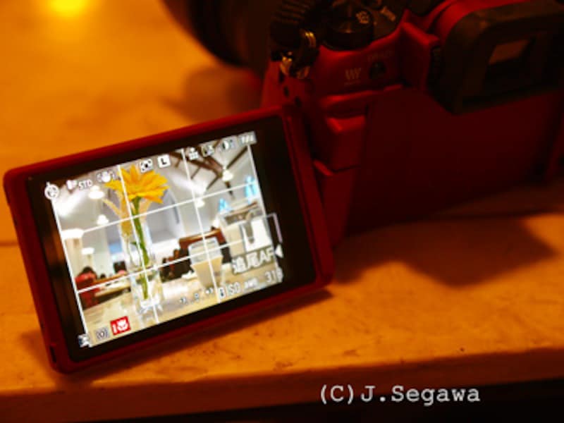 LUMIX G1