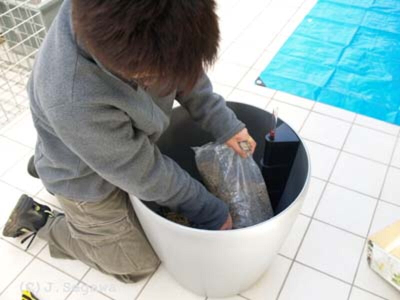 ガーデナーを撮影