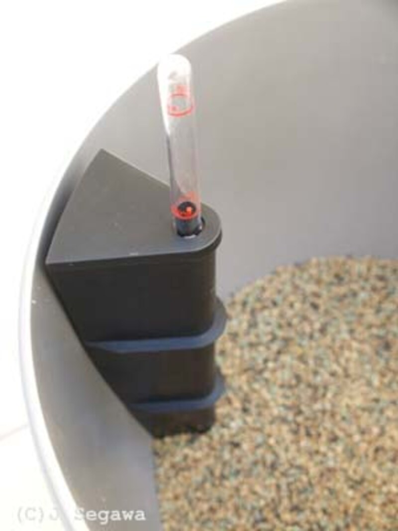 ガーデナーを撮影