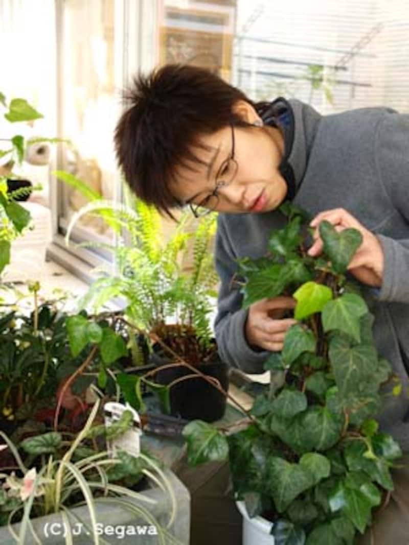 ガーデナーを撮影