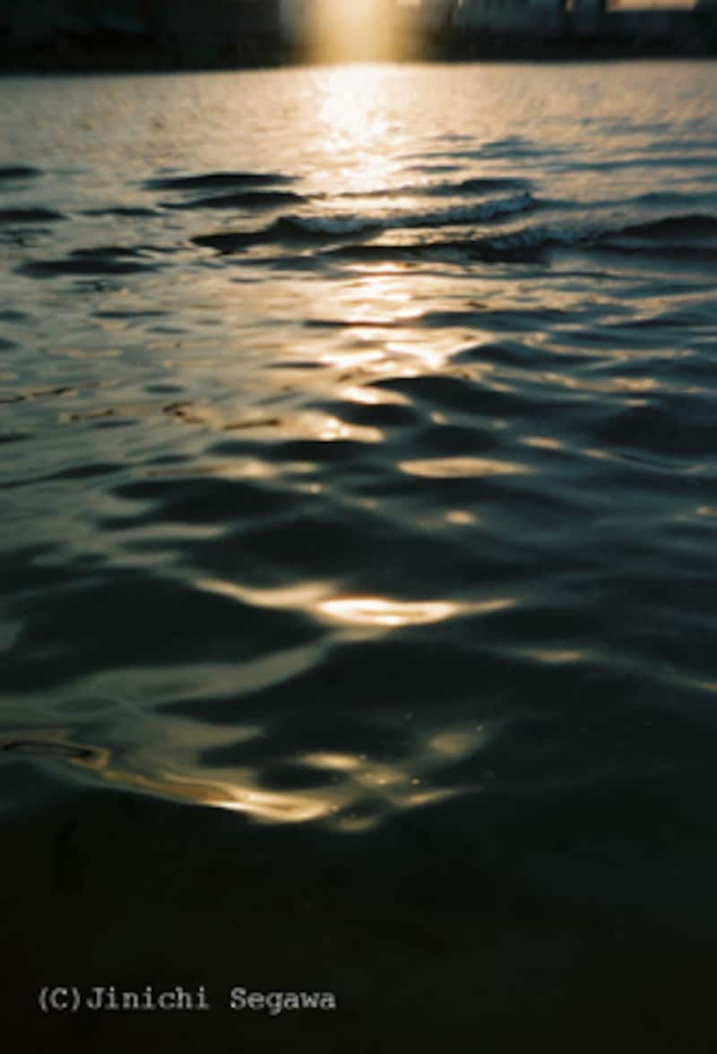 大人の科学二眼レフカメラ