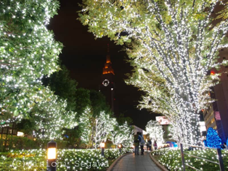 東京イルミネーション撮影ガイド