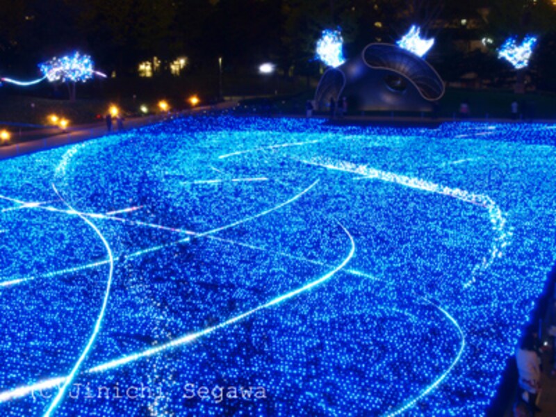 東京イルミネーション撮影ガイド