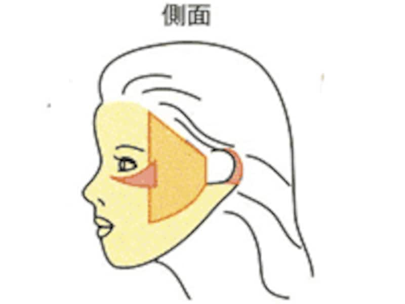 日焼け 止め の ストア 付け方