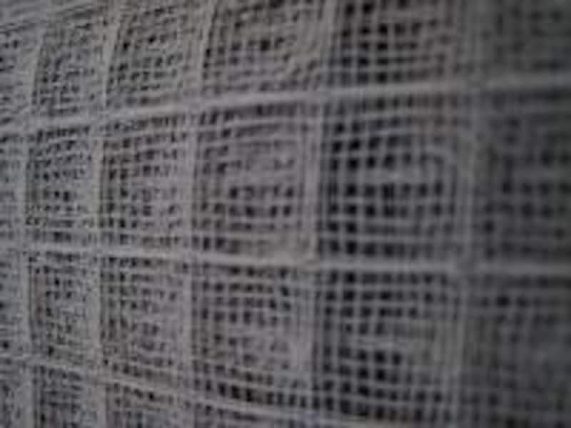 びっしり張り付いています