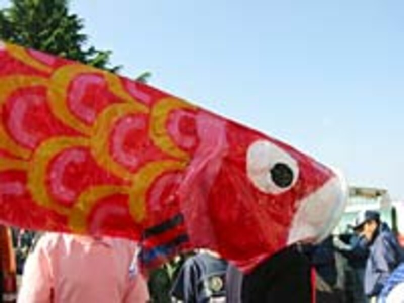 ５月だ。でっかい鯉のぼり