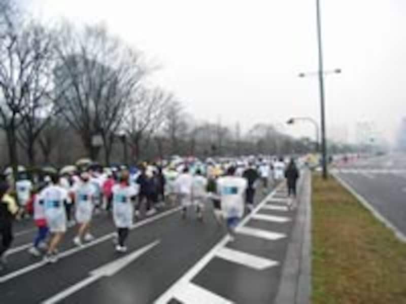 皇居前内堀通りは「日本の道100選」