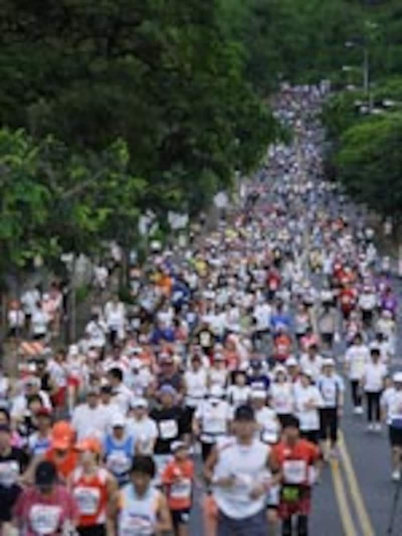 さあ、辛くて楽しい長旅が始まった