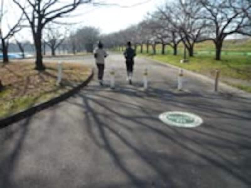 LUMIX FX37のスポーツモードで走りながら撮影