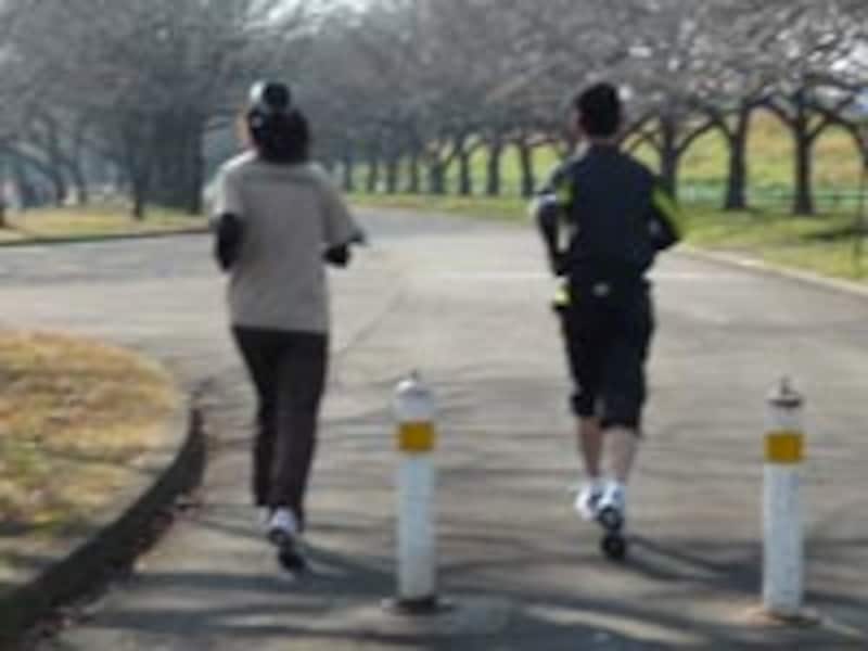 左写真の部分拡大