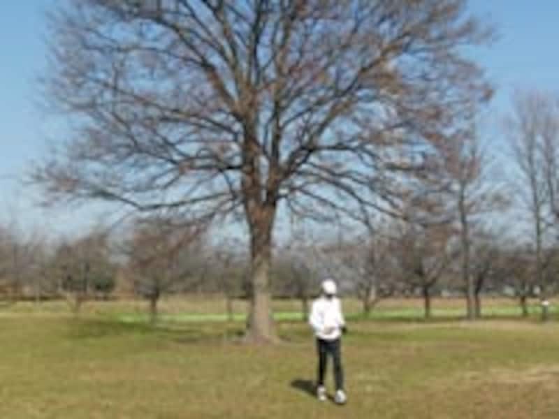 上の写真を撮っているところ