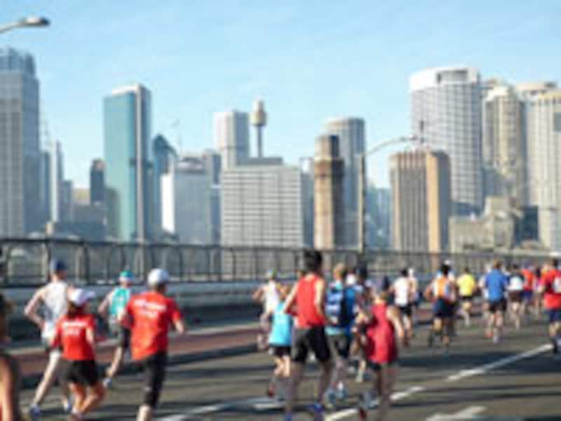 ハーバーブリッジ上からの景色は格別