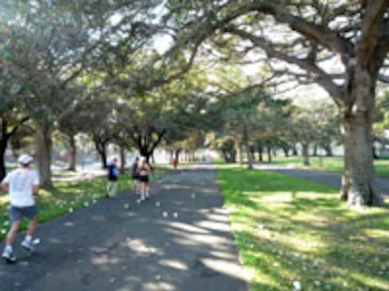 緑豊かなセンティアルパークに入っていく