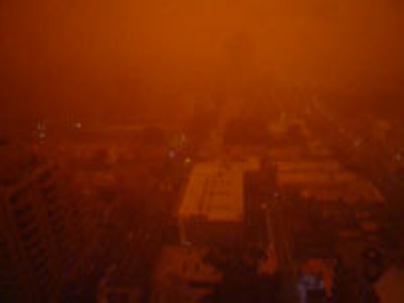 朝起きてカーテンを開けたらこの世の終わりかと思えるような光景が