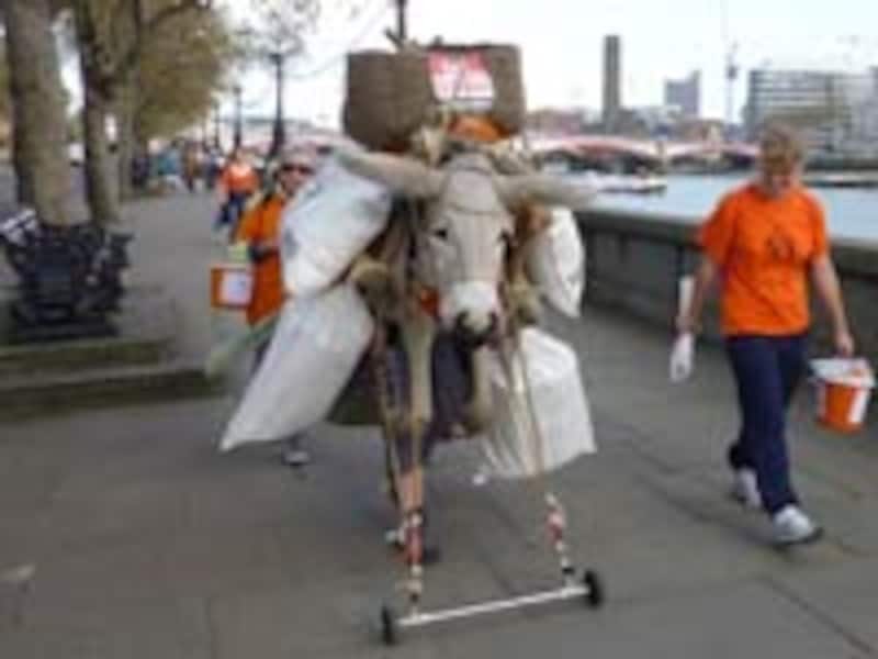 牛も参加？ ではなく、コスプレだ。支援者とチャリティしつつ時間切れで記録なし。そんなこともある