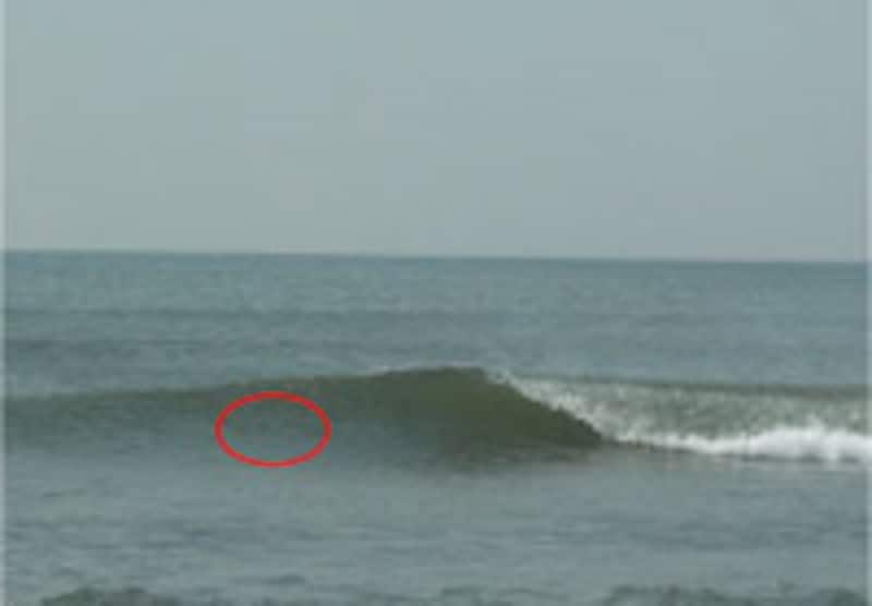 波の名前について 種類や各部分の名称 サーフィンに適した波は サーフィン All About