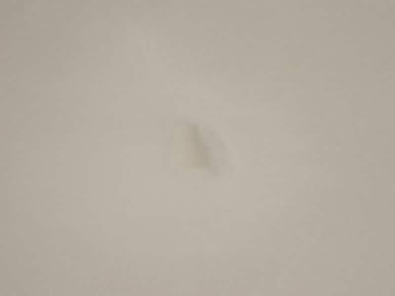 これで完成です！