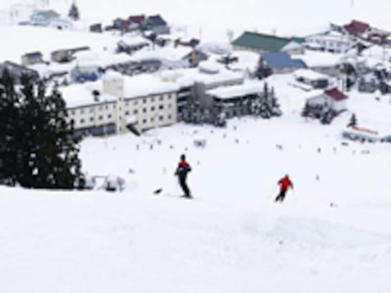 画像の代替テキスト