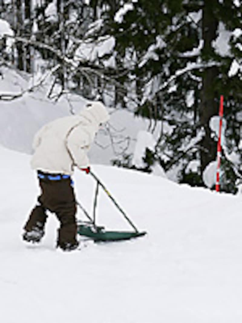 画像の代替テキスト