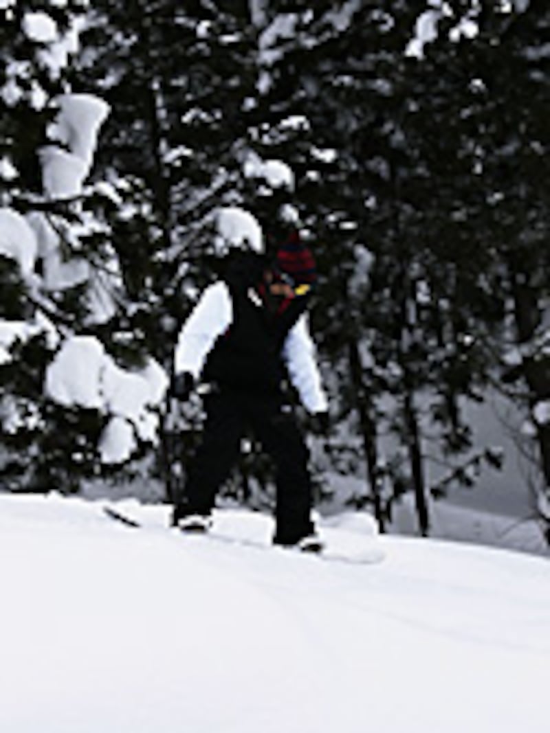 画像の代替テキスト