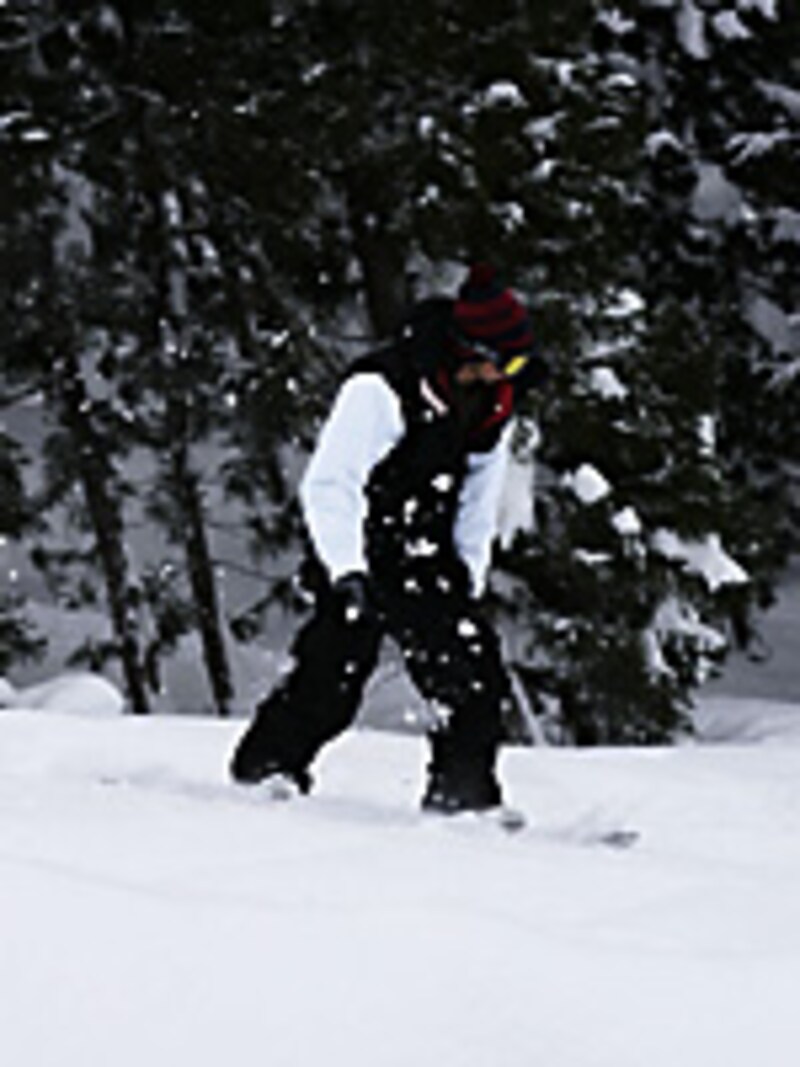 画像の代替テキスト