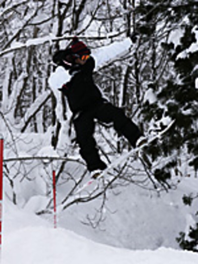 画像の代替テキスト