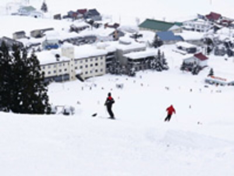 画像の代替テキスト