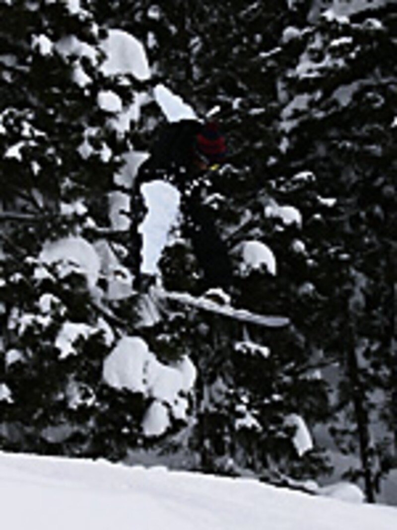 画像の代替テキスト