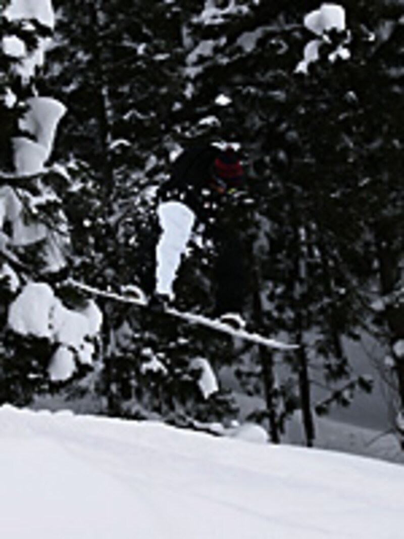 画像の代替テキスト