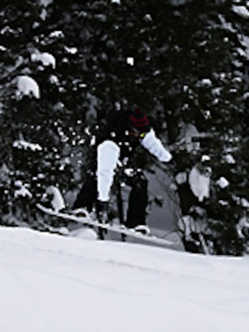 画像の代替テキスト