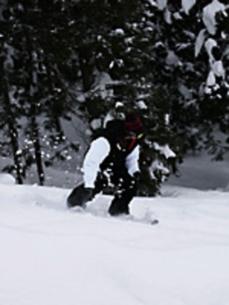 画像の代替テキスト