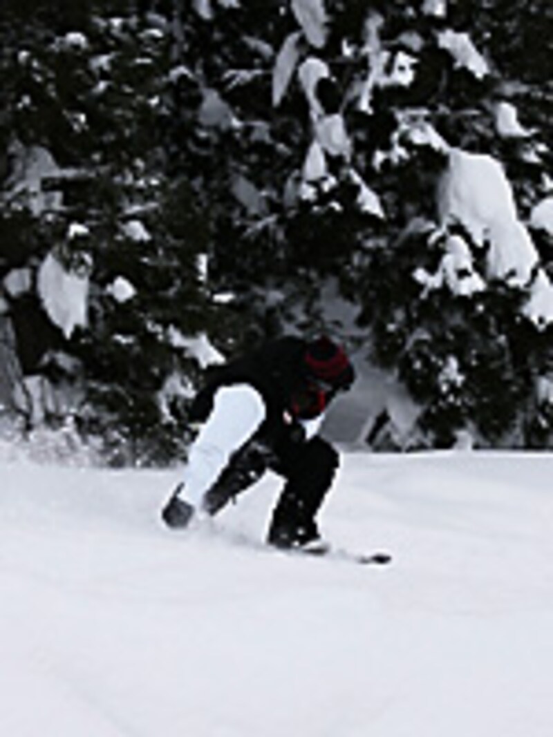 画像の代替テキスト