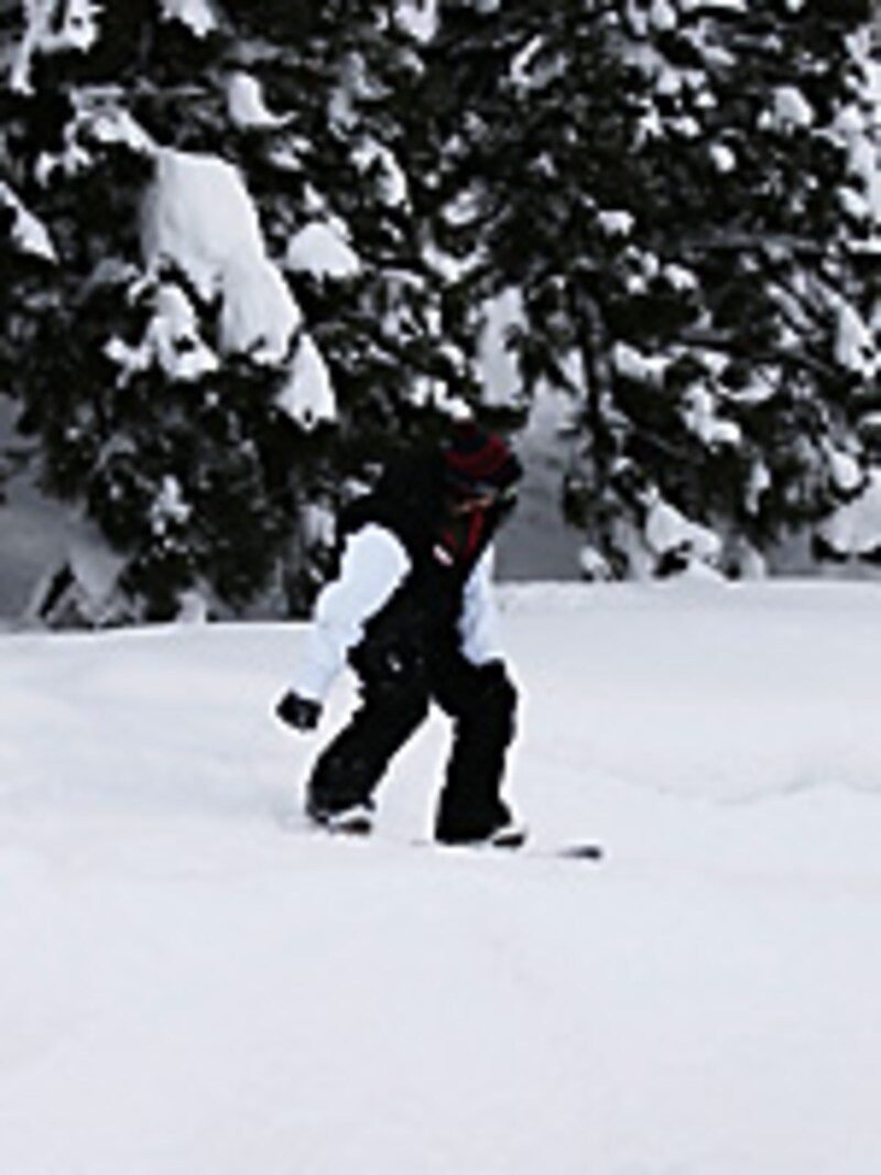 画像の代替テキスト