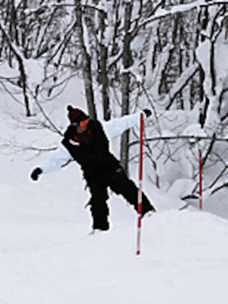 画像の代替テキスト