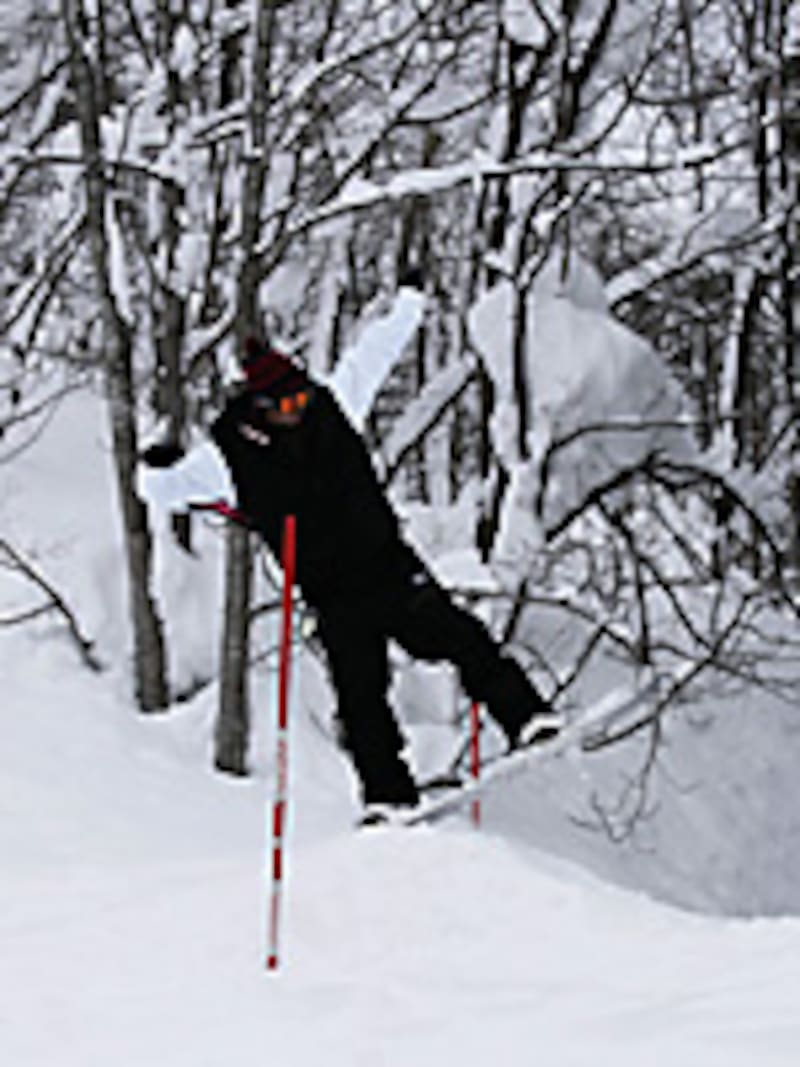 画像の代替テキスト