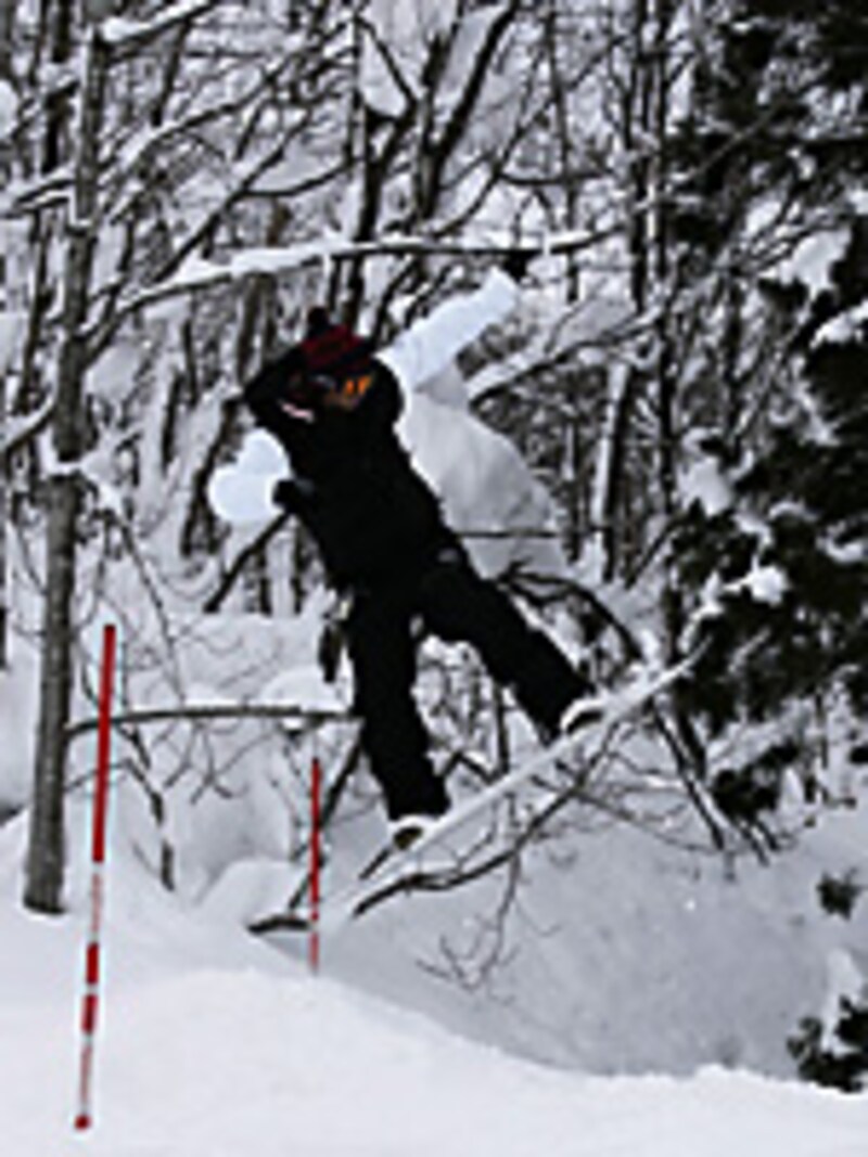 画像の代替テキスト