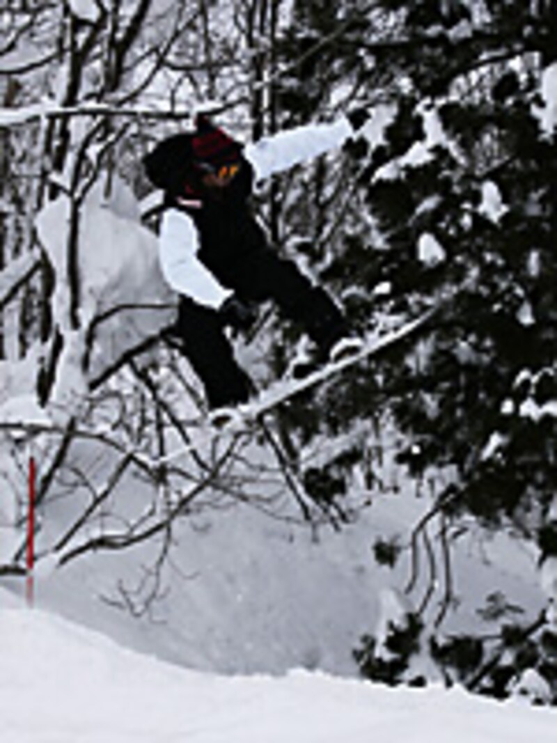 画像の代替テキスト