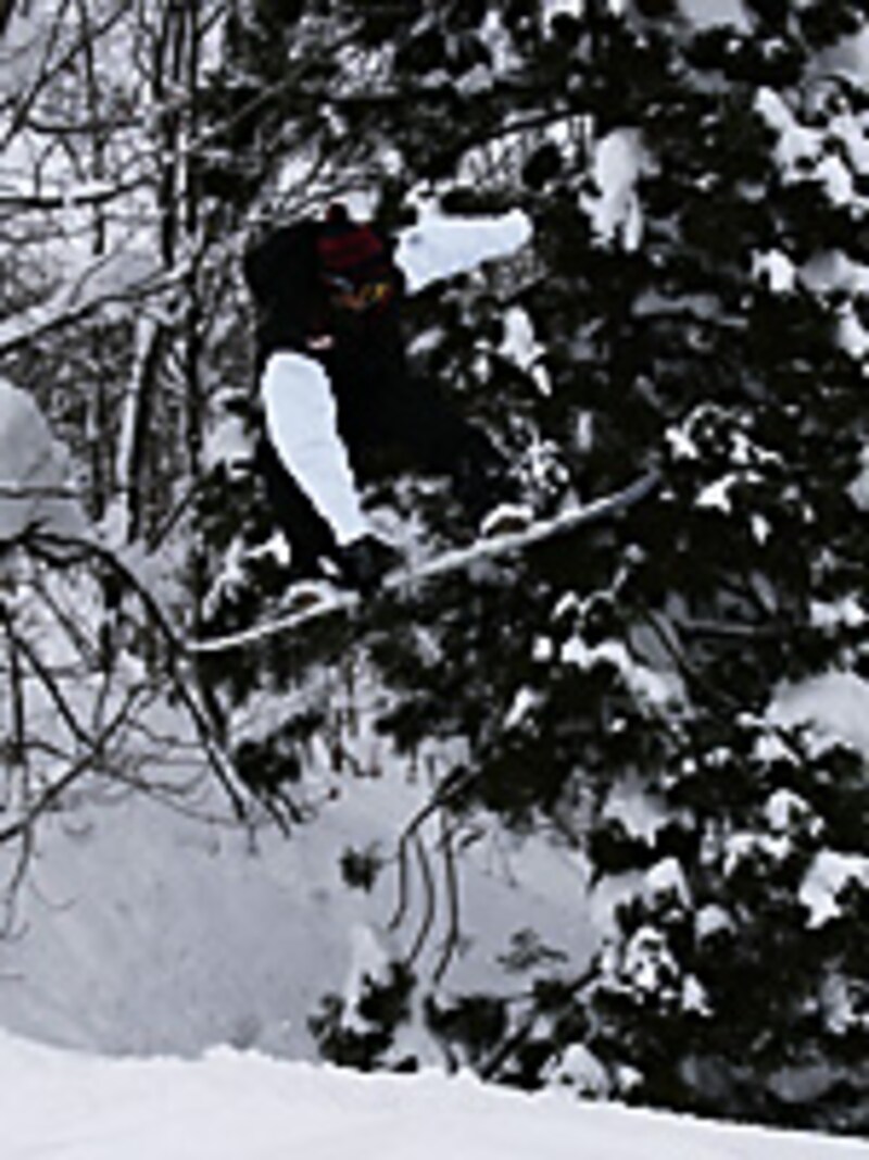 画像の代替テキスト