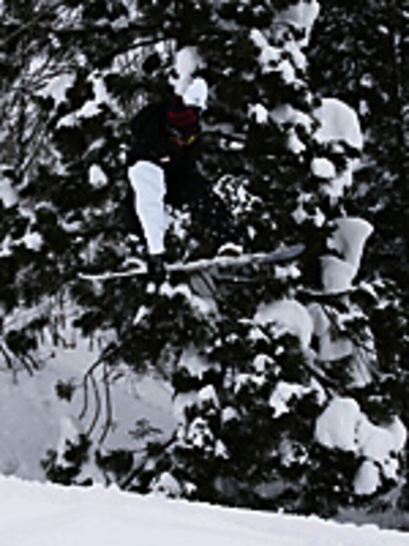 画像の代替テキスト