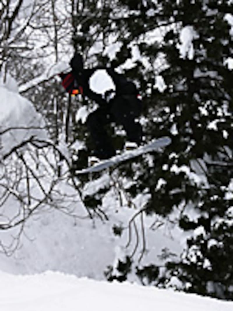 画像の代替テキスト