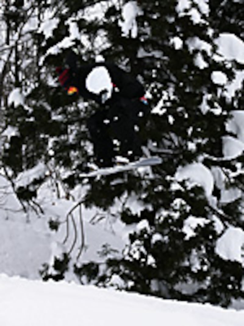 画像の代替テキスト