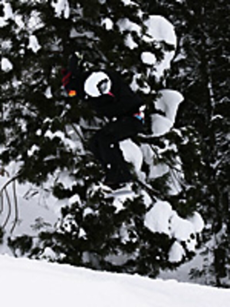 画像の代替テキスト