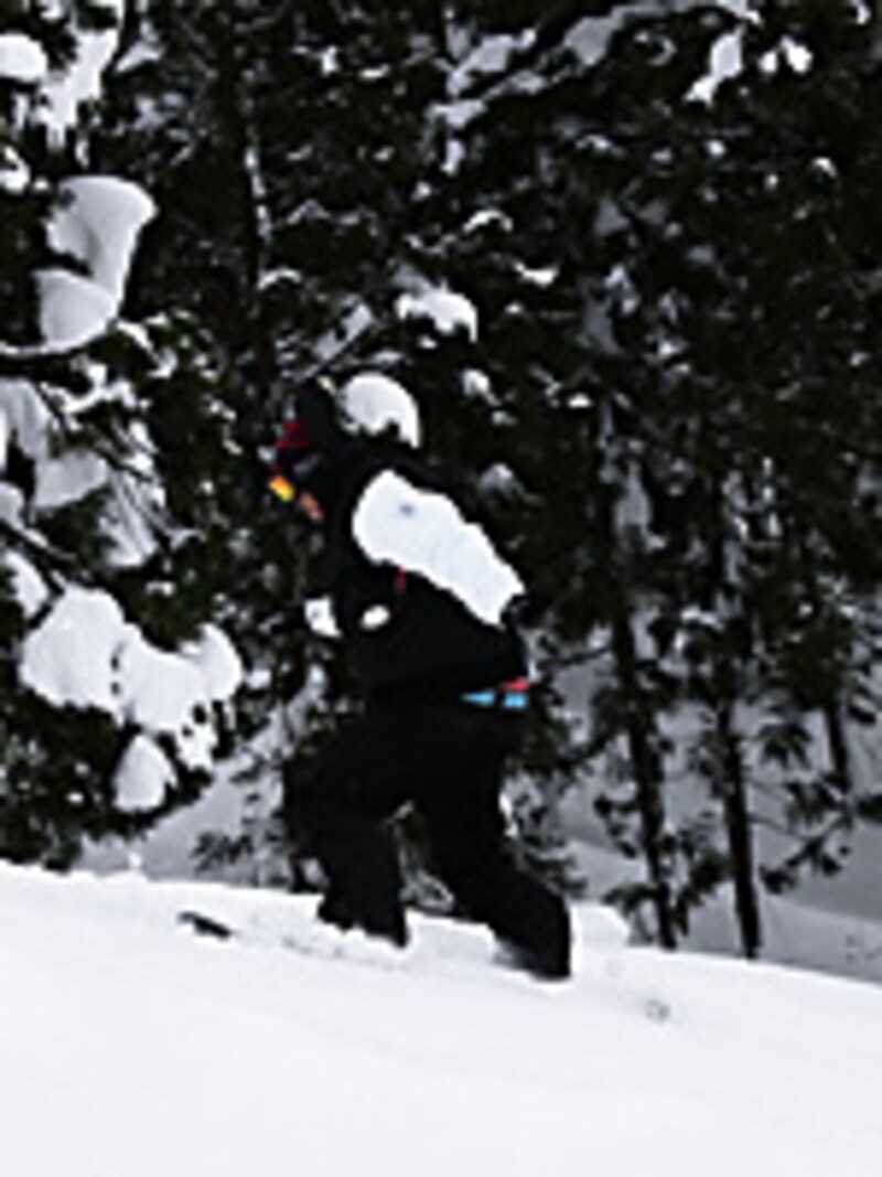 画像の代替テキスト